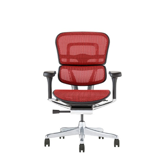 エルゴヒューマン プロ2 Low Type