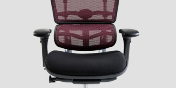 エルゴヒューマン プロ / ヘッドレスト有り【メーカー組み立て完成品