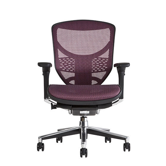 エルゴヒューマン Ergohuman ENJOY 　パープル　まめじろうさん専用 エルゴヒューマン エンジョイ / ヘッドレスト無し【メーカー組み立て