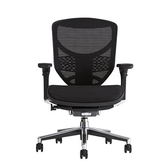 新品同様　エルゴヒューマン エンジョイ　メッシュチェア　ベーシック　プロ　フィット　 Ergohumanエルゴヒューマンベーシックロータイプ/エラストメリック