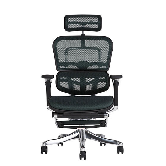 エルゴヒューマン プロ / オットマン内蔵型 / ヘッドレスト有り