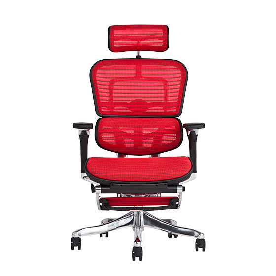 エルゴヒューマン プロ / オットマン内蔵型 / ヘッドレスト有り