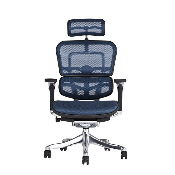 エルゴヒューマン プロ / ヘッドレスト有り【メーカー組み立て完成品