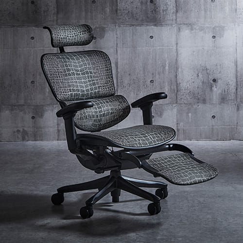 特別仕様モデル 】 エルゴヒューマン SE /ヘッドレスト / ブラック塗装