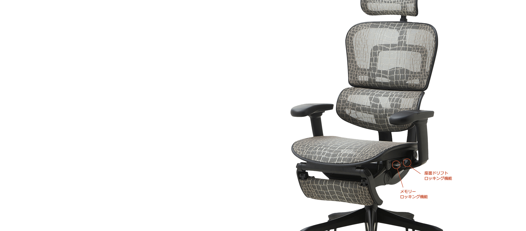 特別仕様モデル 】 エルゴヒューマン SE /ヘッドレスト / ブラック塗装