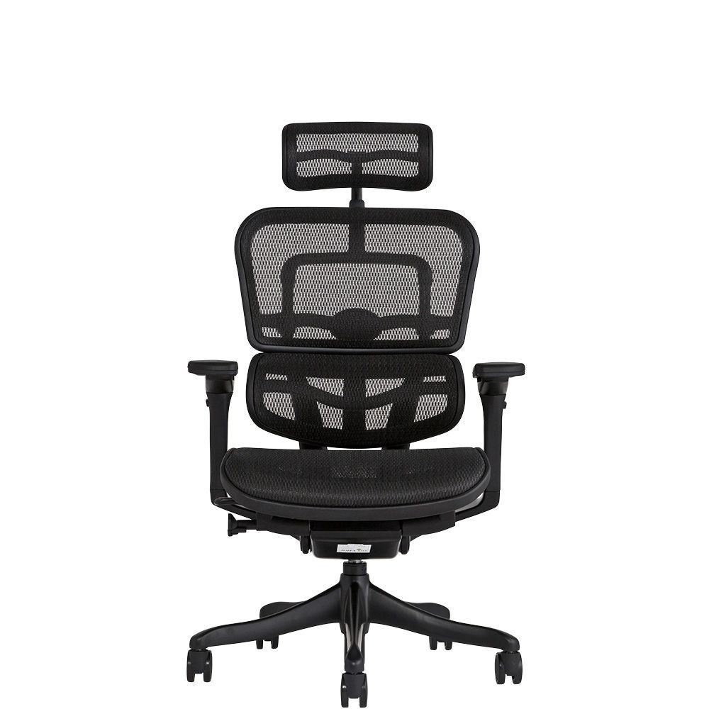 エルゴヒューマン ブラックエディション / ヘッドレスト有り【メーカー エルゴヒューマン ブラックエディション / ヘッドレスト有り【メーカー