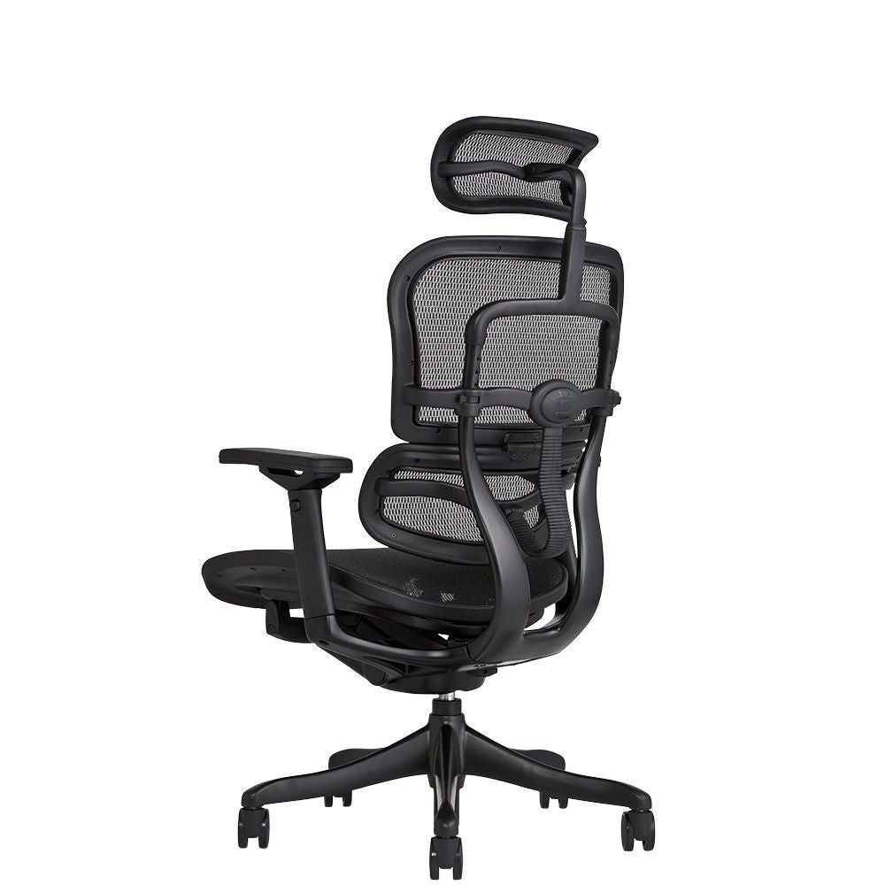 エルゴヒューマン　ベーシック　ヘッドレスト付きチェア　事務イス　肘ありブラック エルゴヒューマン Basic Ergohuman ハイスペックチェア オフィス