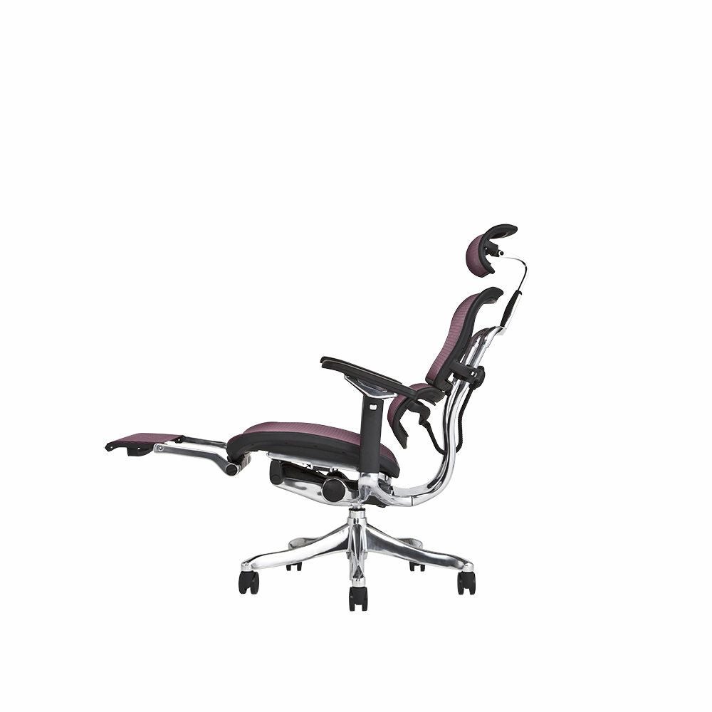 エルゴヒューマン プロ / オットマン内蔵型 / ヘッドレスト有り
