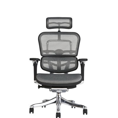 エルゴヒューマン プロ / ヘッドレスト有り【メーカー組み立て完成品 