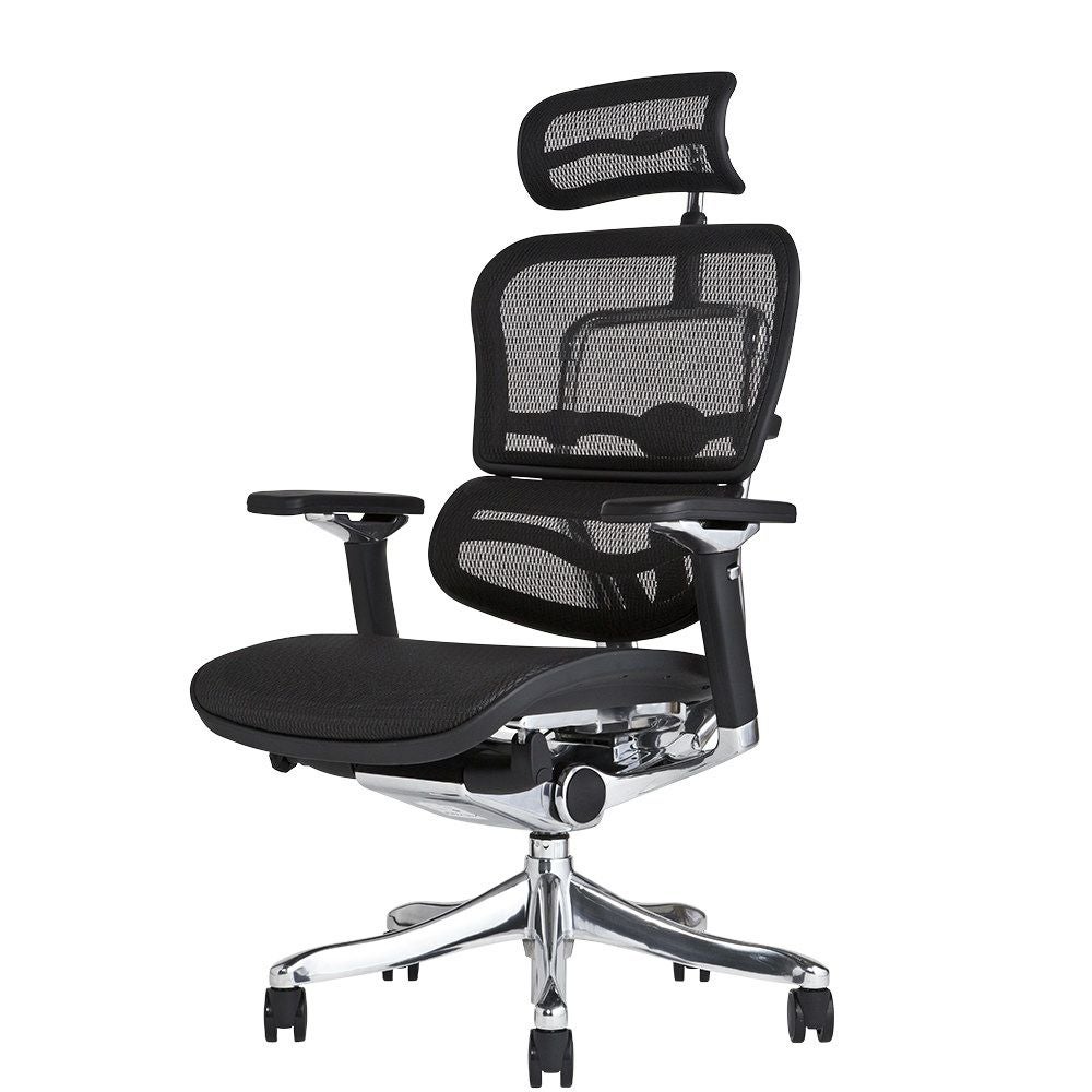 エルゴヒューマン プロ / ヘッドレスト有り【メーカー組み立て完成品