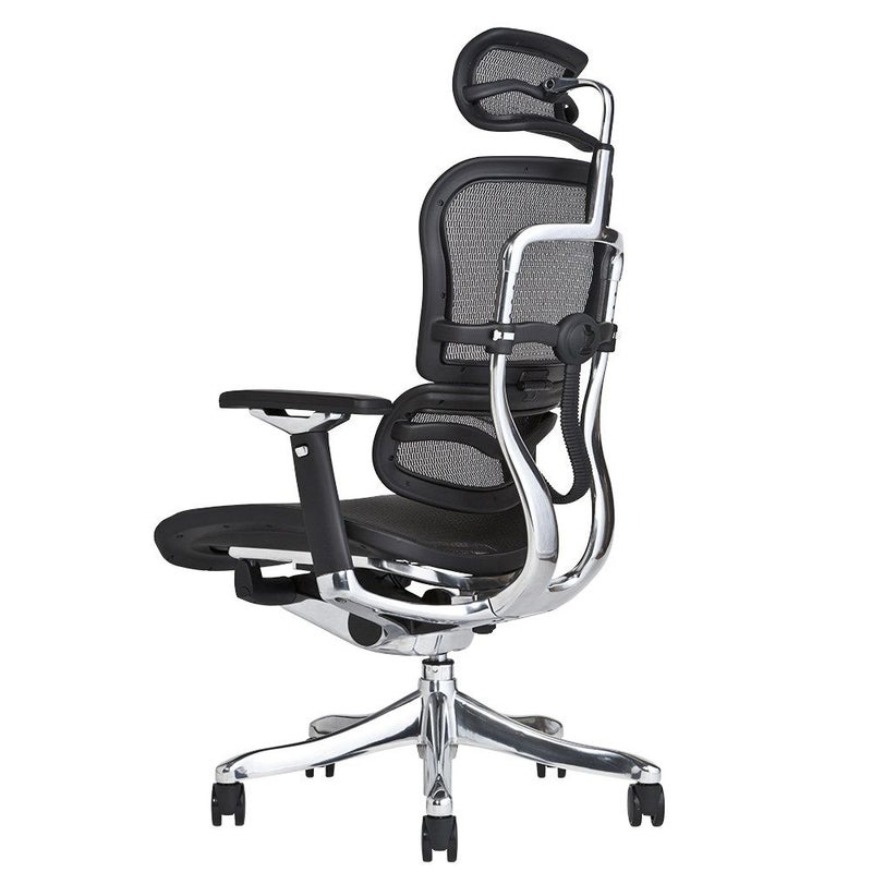 エルゴヒューマン プロ / ヘッドレスト有り【メーカー組み立て完成品 