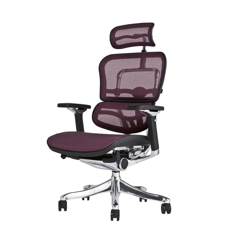 エルゴヒューマン プロ / ヘッドレスト有り【メーカー組み立て完成品 