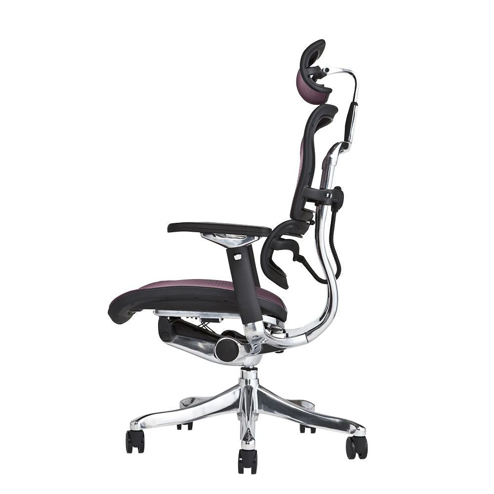 エルゴヒューマン プロ / ヘッドレスト有り【メーカー組み立て完成品