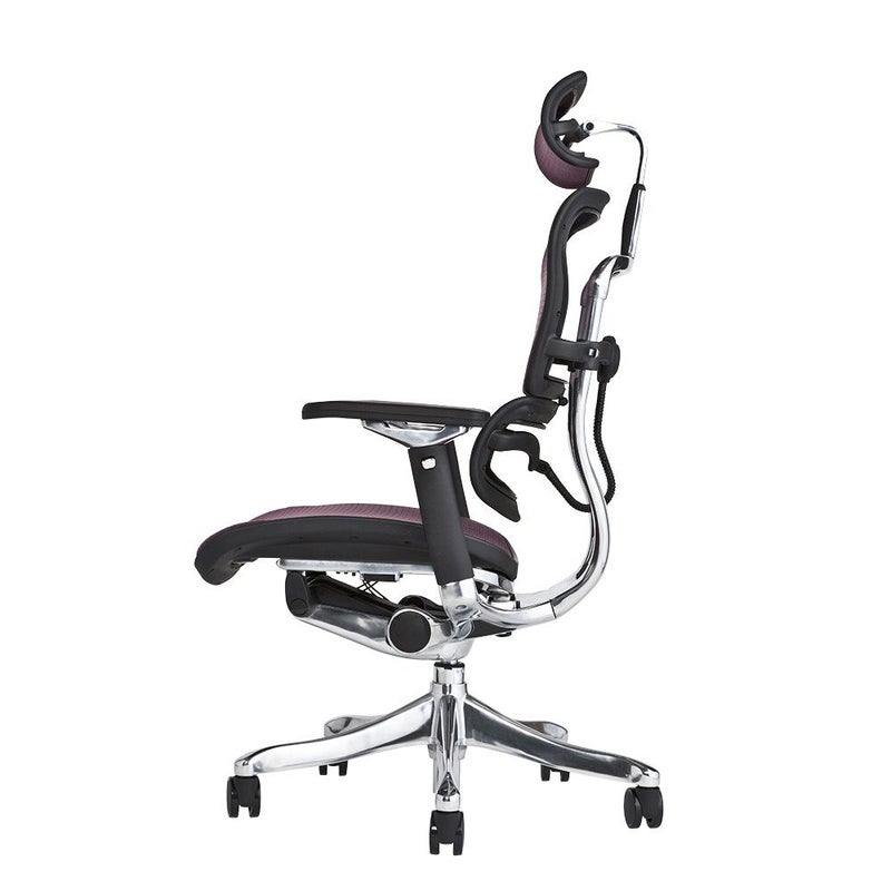 エルゴヒューマン プロ / ヘッドレスト有り【メーカー組み立て完成品 