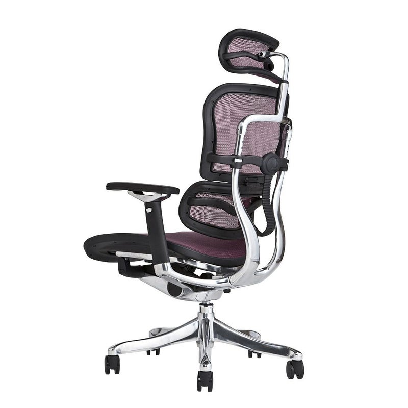 エルゴヒューマン プロ / ヘッドレスト有り【メーカー組み立て完成品 