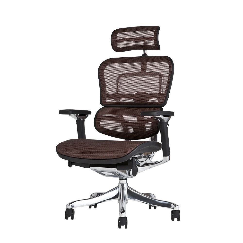 エルゴヒューマン プロ / ヘッドレスト有り【メーカー組み立て完成品