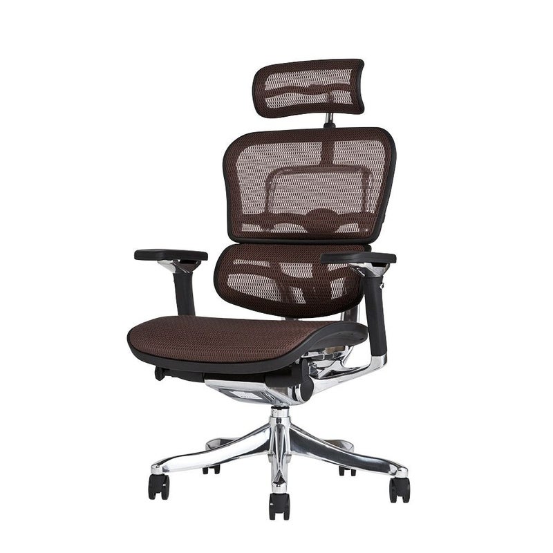 エルゴヒューマン プロ / ヘッドレスト有り【メーカー組み立て完成品 