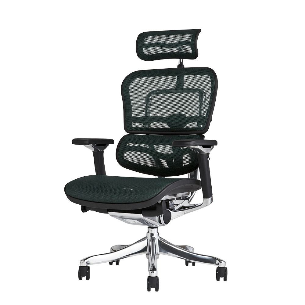 エルゴヒューマン　プロ エルゴヒューマン プロ / ヘッドレスト有り【メーカー組み立て完成品
