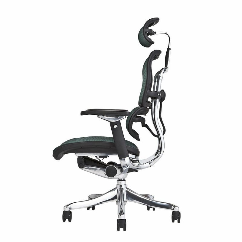 エルゴヒューマン プロ / ヘッドレスト有り【メーカー組み立て完成品 