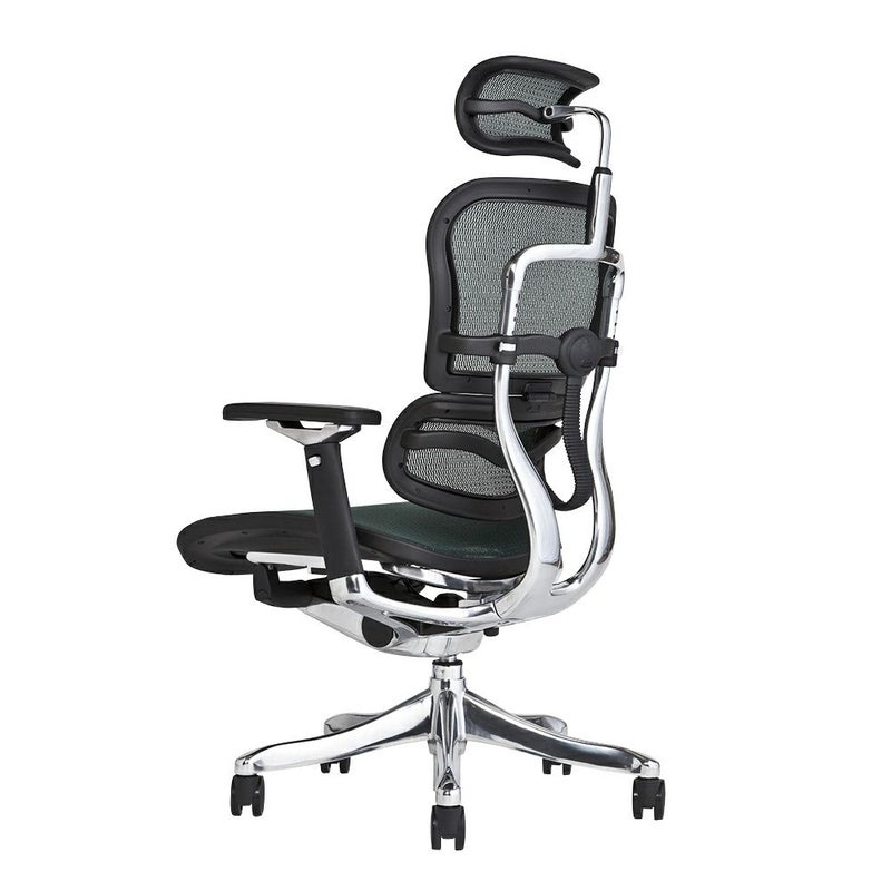エルゴヒューマン プロ / ヘッドレスト有り【メーカー組み立て完成品 