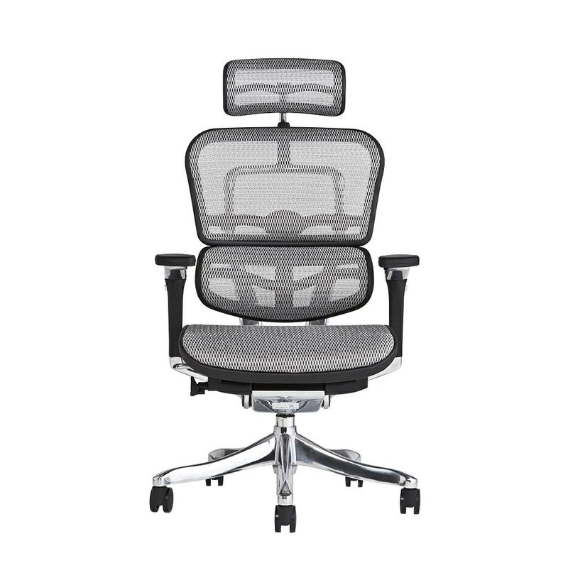エルゴヒューマン プロ / ヘッドレスト有り【メーカー組み立て完成品 