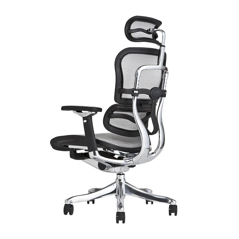 エルゴヒューマン プロ / ヘッドレスト有り【メーカー組み立て完成品 