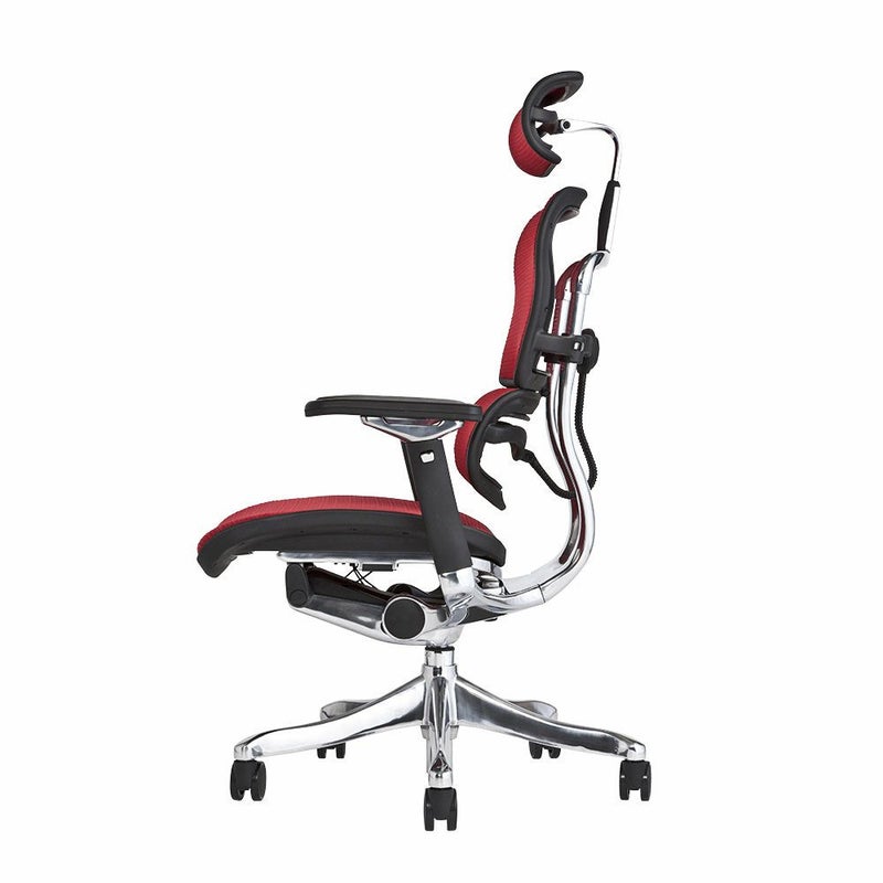 エルゴヒューマン プロ / ヘッドレスト有り【メーカー組み立て完成品 