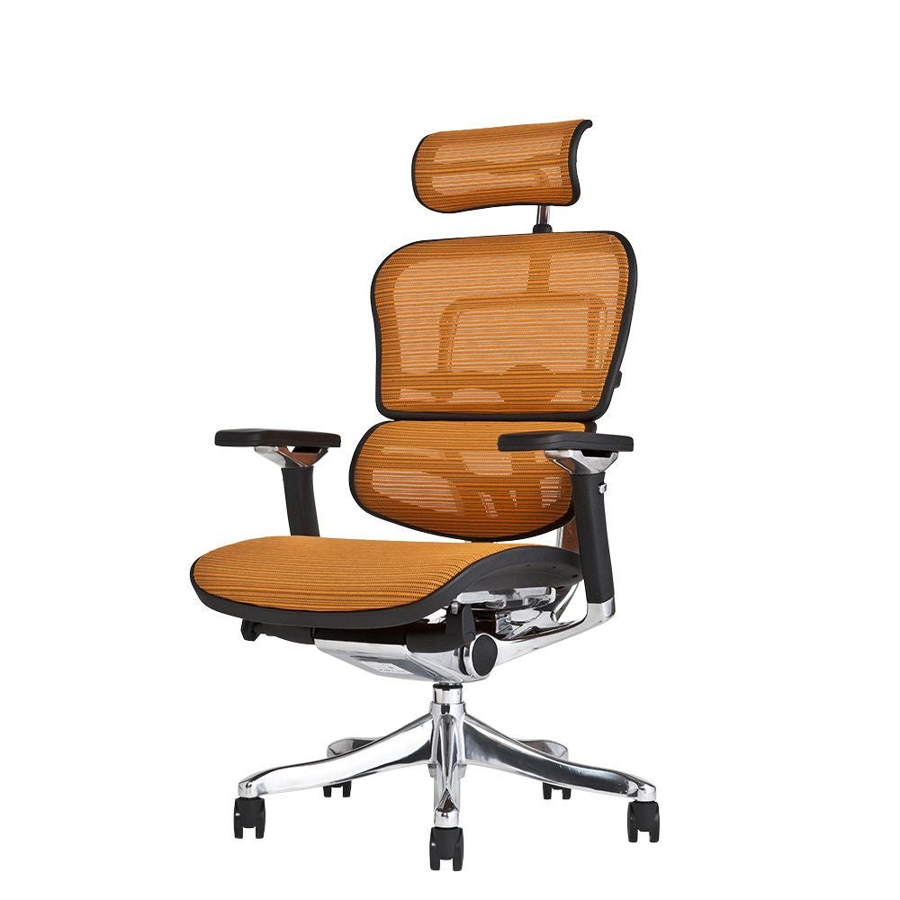 エルゴヒューマン プロ / ヘッドレスト有り【メーカー組み立て完成品