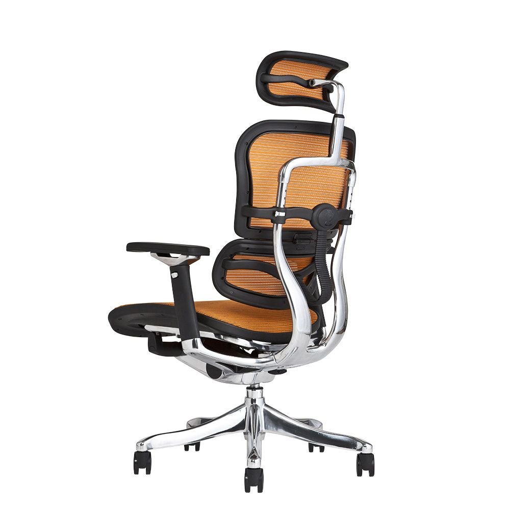 エルゴヒューマン プロ / ヘッドレスト有り【メーカー組み立て完成品