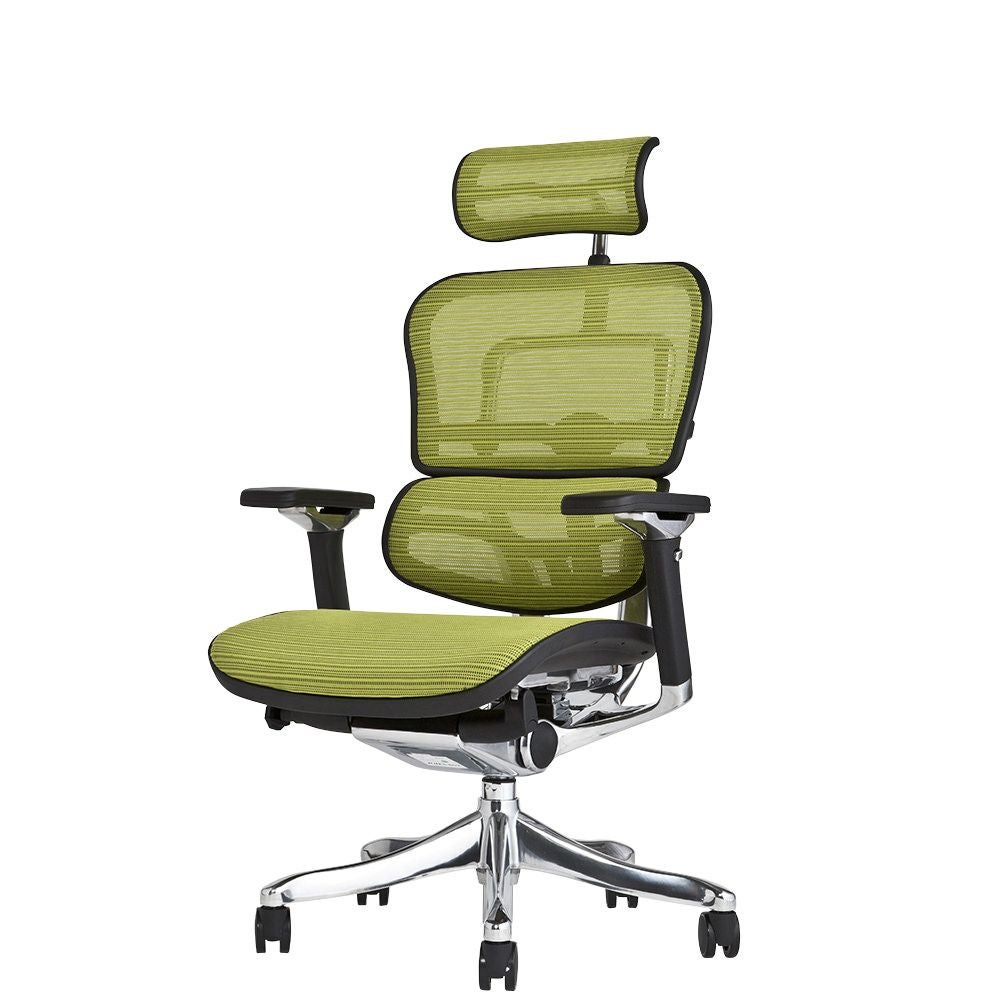 エルゴヒューマン プロ ヘッドレスト付き ergohuman PRO 000000000024-01.jpg?size=l&w=