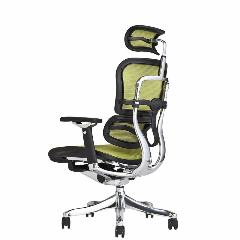 エルゴヒューマン プロ / ヘッドレスト有り【メーカー組み立て完成品 