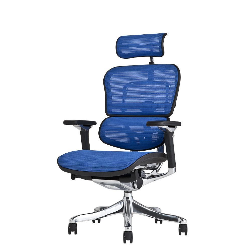 エルゴヒューマン　プロ エルゴヒューマン プロ / ヘッドレスト有り【メーカー組み立て完成品