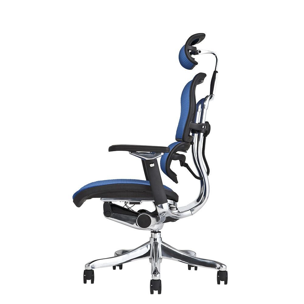 Ergohuman Pro（エルゴヒューマン プロ）肘付、ヘッドレスト付 エルゴヒューマン プロ / ヘッドレスト有り【メーカー組み立て完成品