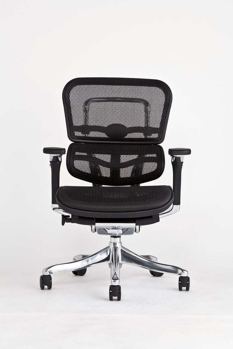 エルゴヒューマン プロ / ヘッドレスト無し【メーカー組み立て完成品 