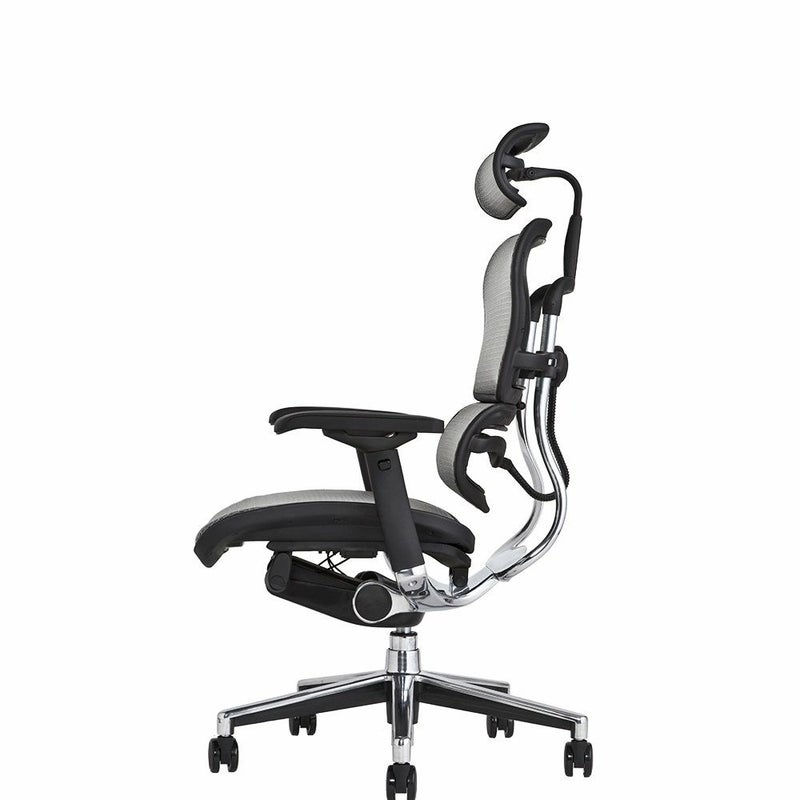 エルゴヒューマン ベーシック / ヘッドレスト有り【メーカー組み立て 