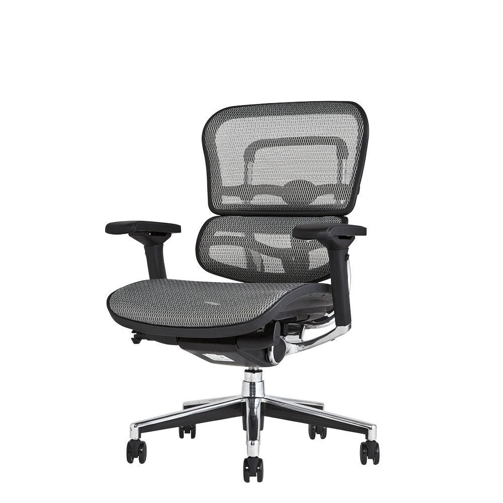 エルゴヒューマン ベーシック / ヘッドレスト無し【メーカー組み立て