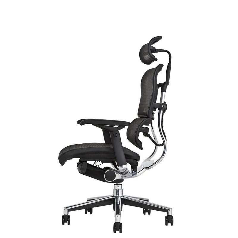 エルゴヒューマン ベーシック / ヘッドレスト有り【メーカー組み立て 