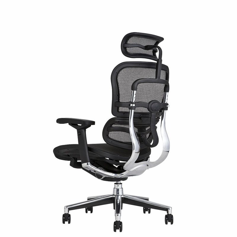 エルゴヒューマン ベーシック / ヘッドレスト有り【メーカー組み立て 