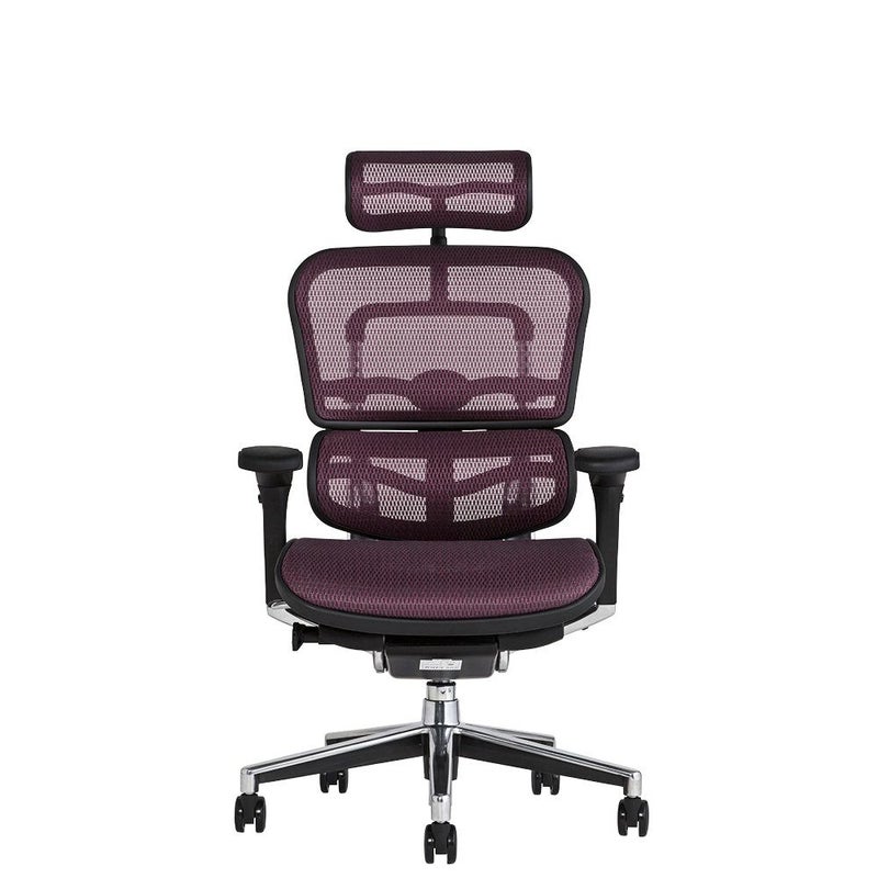 エルゴヒューマン ベーシック / ヘッドレスト有り【メーカー組み立て 