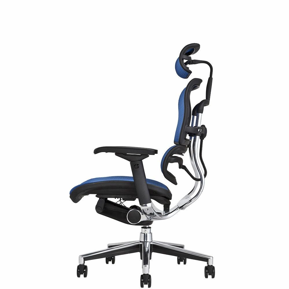 Ergohuman エルゴヒューマン ベーシック オフィスチェア ヘッドレスト付き エルゴヒューマン ベーシック / ヘッドレスト有り【メーカー組み立て