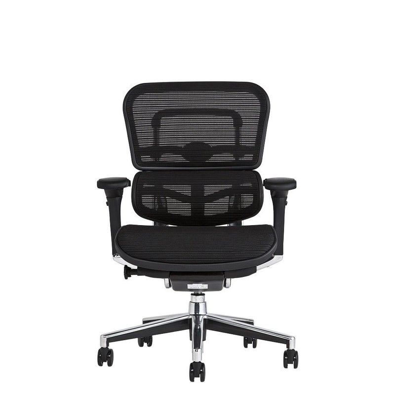 エルゴヒューマン ベーシック / ヘッドレスト無し【メーカー組み立て 