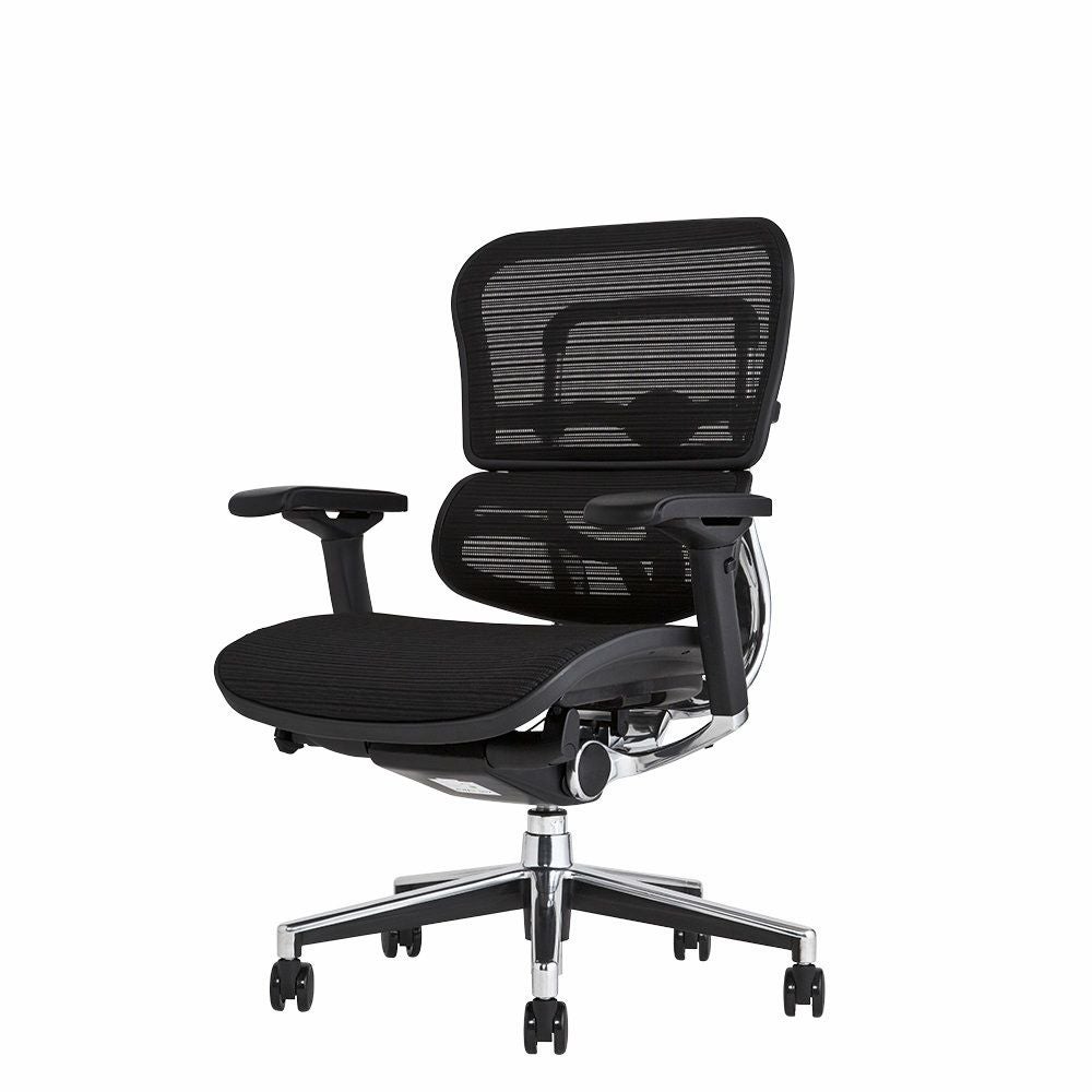 エルゴヒューマン ベーシック / ヘッドレスト無し【メーカー組み立て