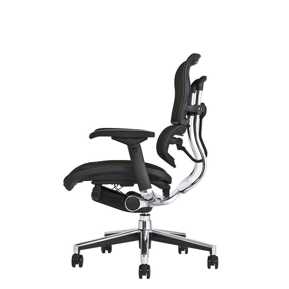 エルゴヒューマン ベーシック / ヘッドレスト無し【メーカー組み立て