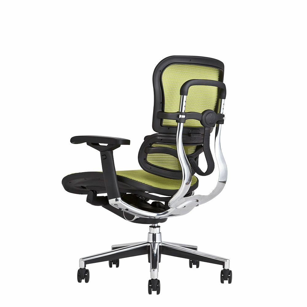 エルゴヒューマンベーシック【オフィスチェア】 エルゴヒューマン ベーシック / ヘッドレスト有り【メーカー組み立て