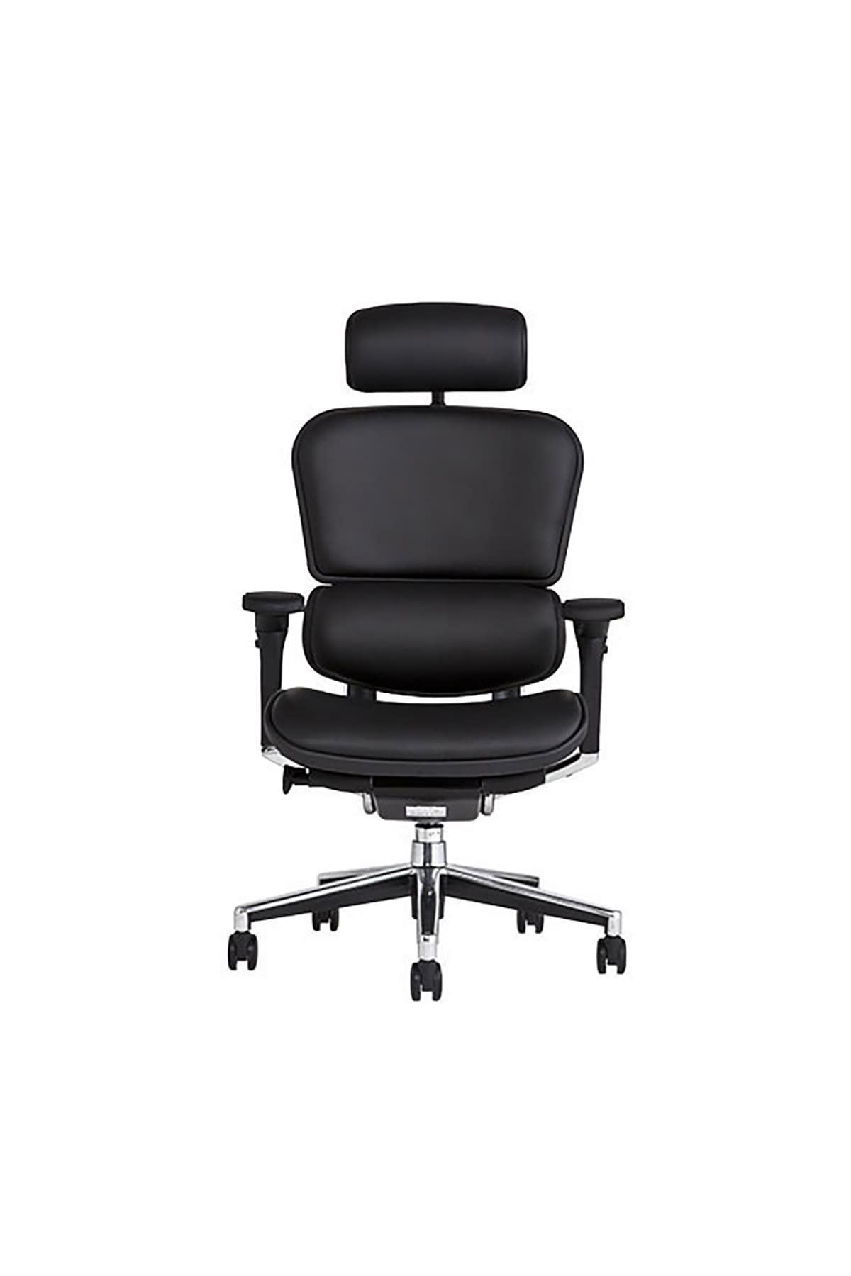 エルゴヒューマン ベーシック / ヘッドレスト有り【メーカー組み立て