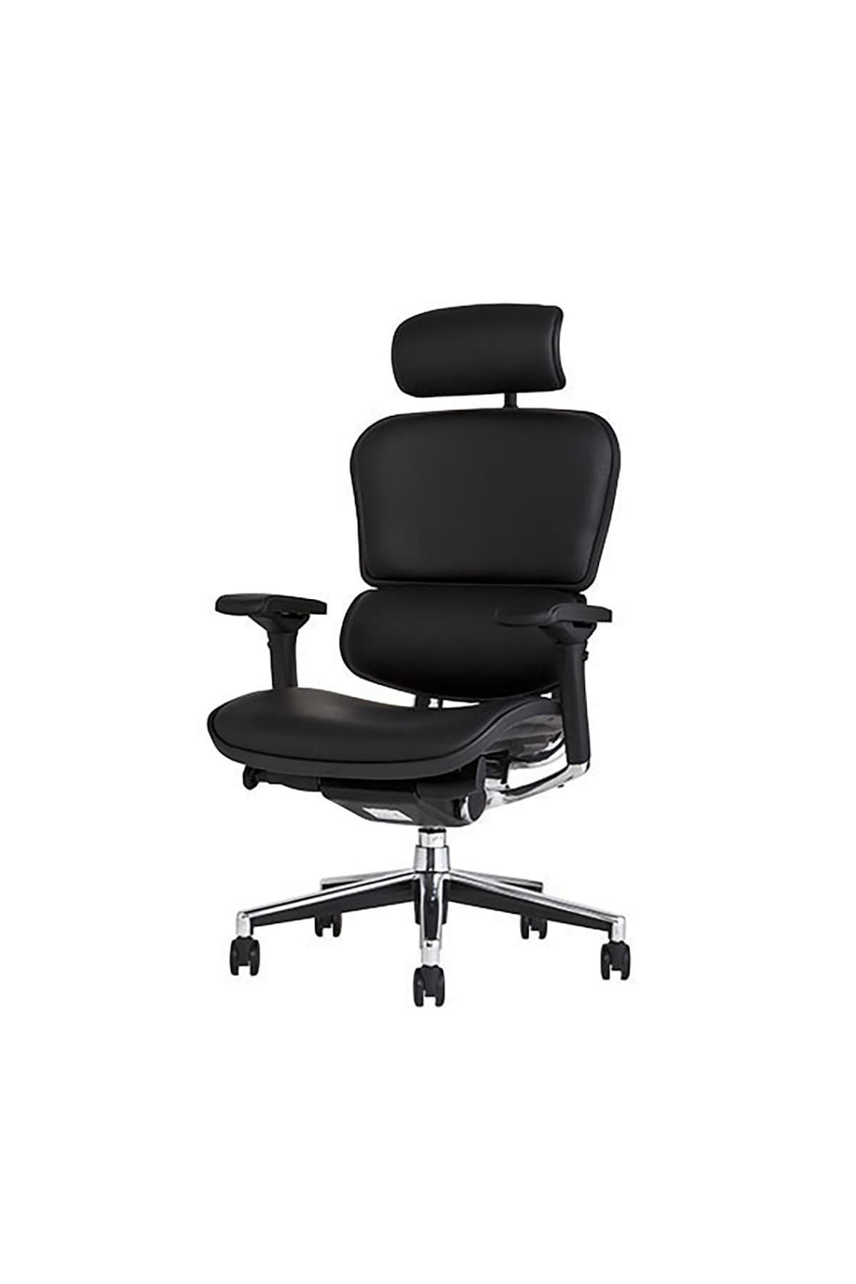 エルゴヒューマン ベーシック / ヘッドレスト有り【メーカー組み立て