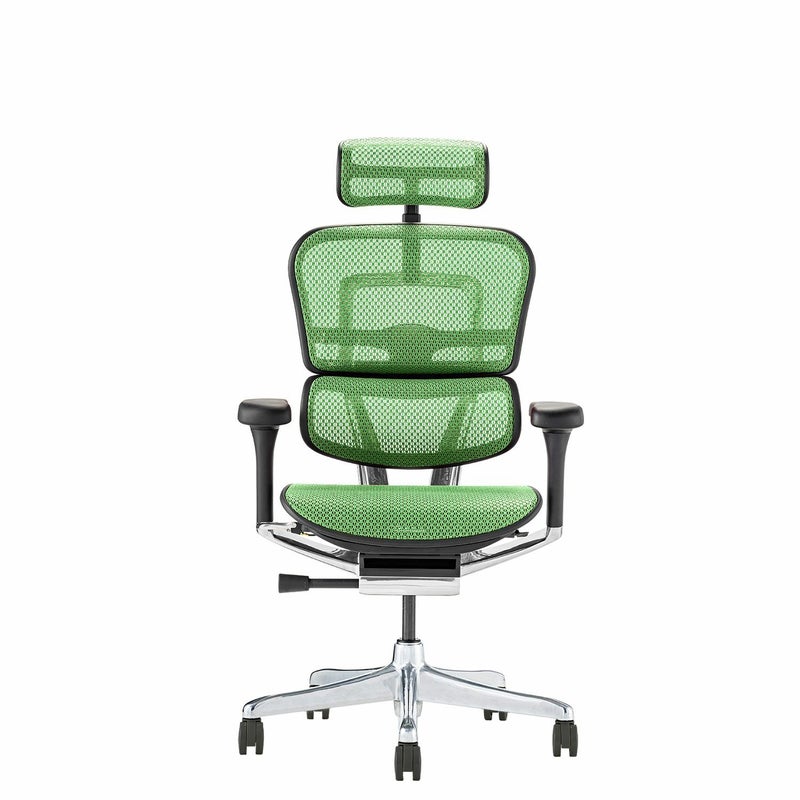 エルゴヒューマン プロ2【メーカー組み立て完成品】 | Ergohuman 