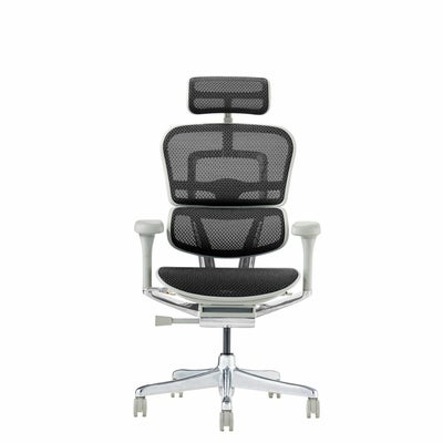 エルゴヒューマン プロ2【メーカー組み立て完成品】 | Ergohuman 