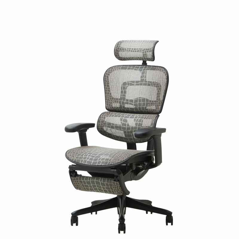 特別仕様モデル 】 エルゴヒューマン SE /ヘッドレスト / ブラック塗装 