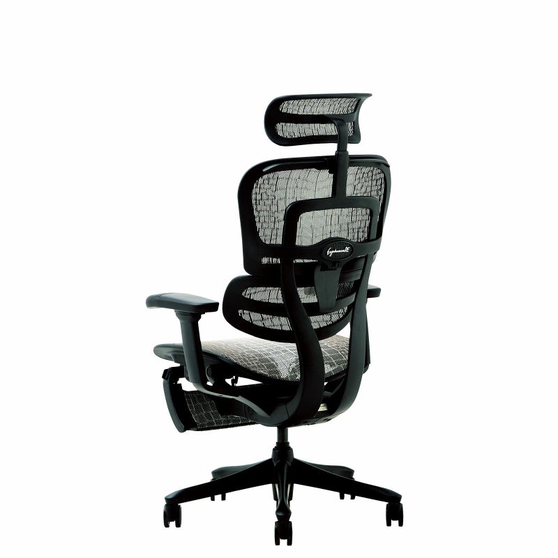 特別仕様モデル 】 エルゴヒューマン SE /ヘッドレスト / ブラック塗装 